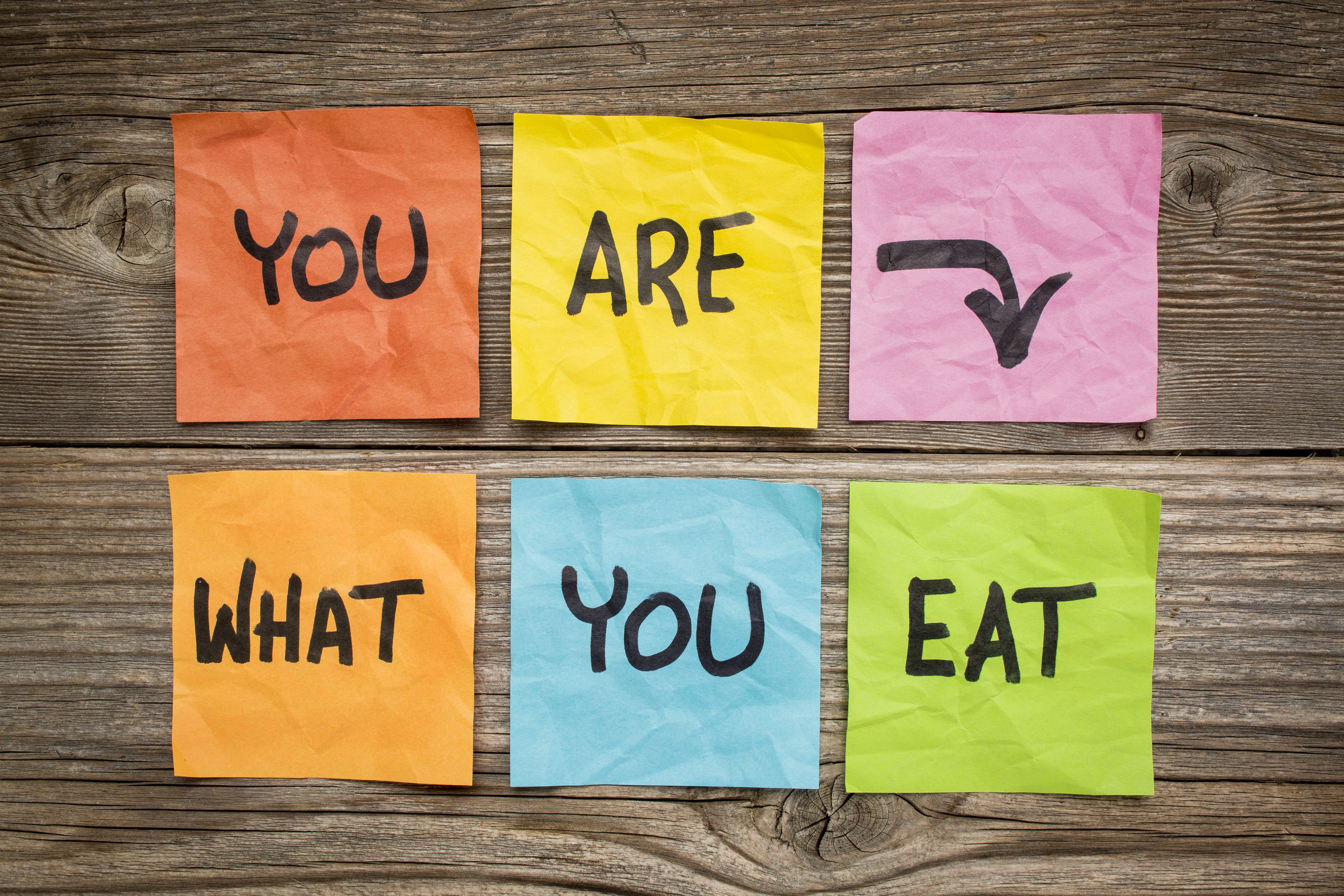 We eat перевод. You are what you eat картинки. You are what you eat проект. Проект на тему you are what you eat 8 класс. Проект you are what you eat 8 класс.
